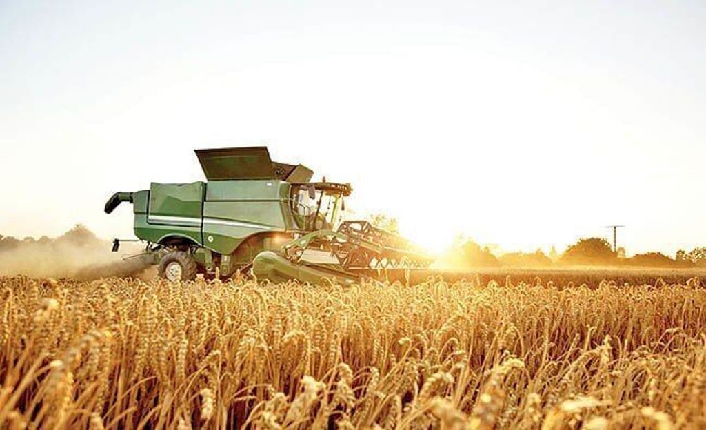 فایل 103 هزار تن گندم خریداری شده به بانک کشاورزی ایلام ارسال شد