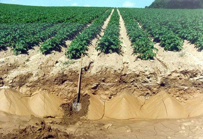 انهدام خاک، برآیند استفاده غیراصولی از کود و سم خاک در مقیاس عمر انسان عنصری تجدیدناپذیر
