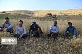 کشاورزان کردستانی از افراد متعهد و متخصص در انتخابات حمایت می‌کنند