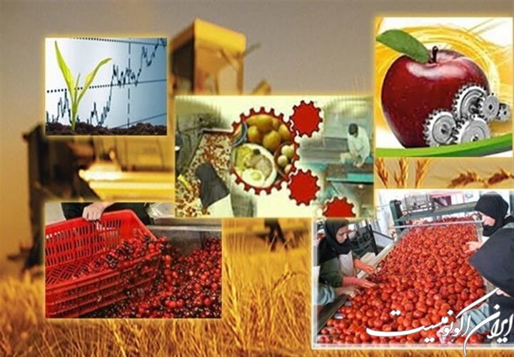 زنجیره ارزش راهبردی محصولات کشاورزی باید در کرمانشاه تکمیل شود