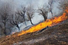 35 آتش‌سوزی در عرصه‌های طبیعی ایلام مهار شد