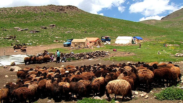 200 میلیارد تومان برای زیرساخت‌های عشایری ایلام هزینه شد