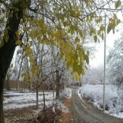 سرمای شدید در راه همدان