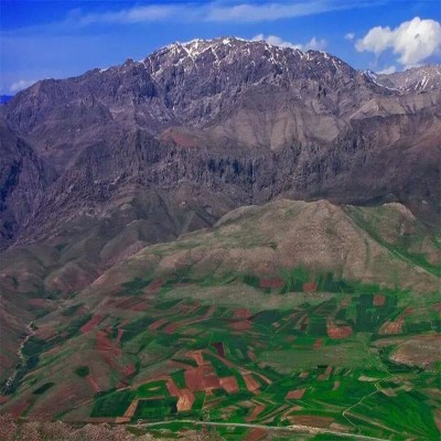 پیگیر ارتقای منطقه شکار ممنوع گرین به حفاظت‌شده هستیم