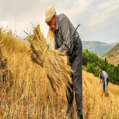 7 هزار کرمانشاهی مستمری‌بگیر بیمه روستایی‌ هستند