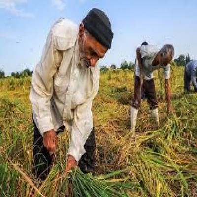 دستگاه‌های اجرایی با ظرفیت‌های موجود از کشاورزان حمایت کنند