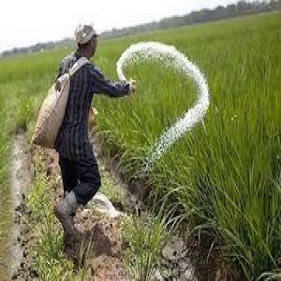 توزیع 30 هزار تُن کود شیمیایی در همدان