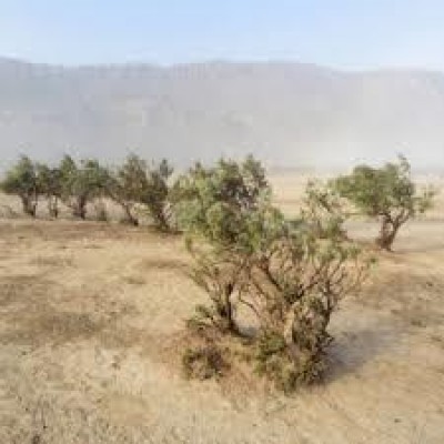 استفاده نامناسب از منابع آبی از علل اصلی بیابانزایی است