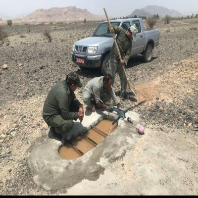 حیات در قلب تشنگی؛ آبرسانی منظم به زیستگاه‌های ایلام تبلور همدلی با طبیعت