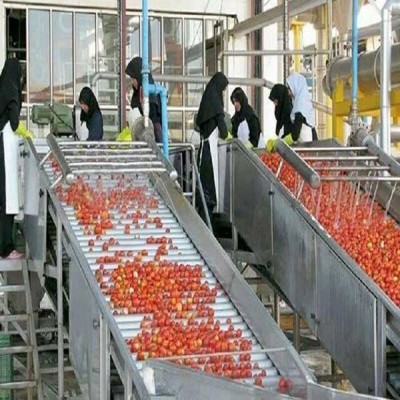 حفظ و بهسازی واحدهای بخش صنایع تبدیلی در دستور کار است