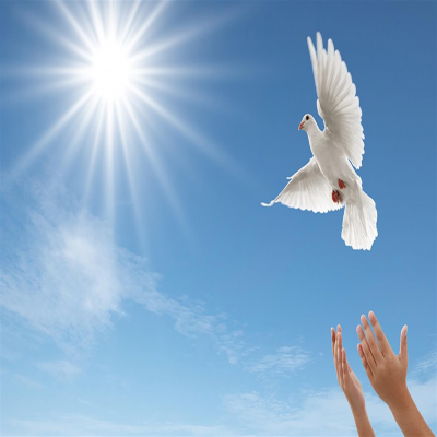 آزادی زندانی با یادبود فرزند یک خانواده‌ در همدان