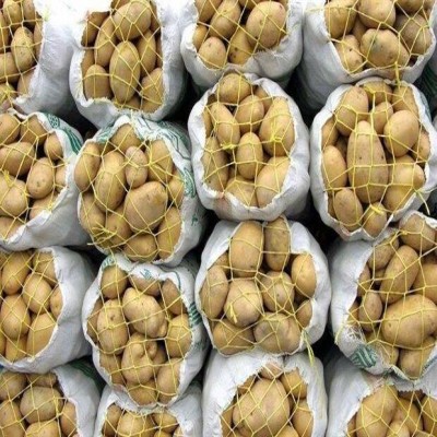 صادرکنندگان همدان نمی‌توانند سیب‌زمینی صادر کنند