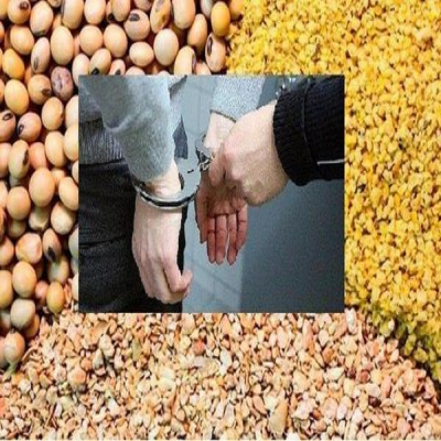 بازارگاه دولتی دلال‌گاه شد