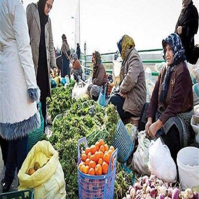 احداث روستابازار کنگاور در دستور کار تعاون روستایی استان قرار گرفت