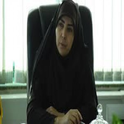 تهران مقصد بانوان کارآفرین همدانی در بازارچه ویژه