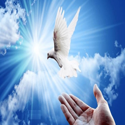 آزادی دو زندانی در همدان به نیت حضرت زهرا (س)