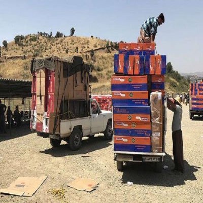 سهمیه پیله‌وری کردستان به 3 میلیون دلار کاهش یافت