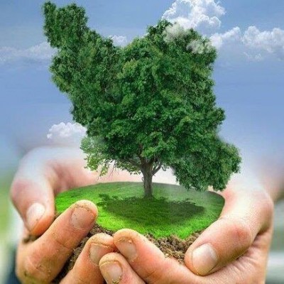 لزوم وجود نهاد تنظیم‌گر جهت کارآمدی نظام حکمرانی محیط زیست و مدیریت پسماند