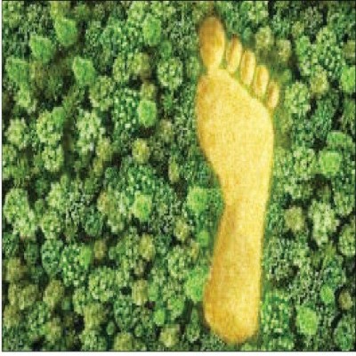 مصرف ایرانیان، سه برابر ظرفیت زیستی کشور است