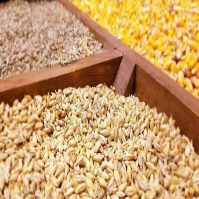 از جهش تولید تا پایداری، به شرط گره‌گشایی از بازار و بذر