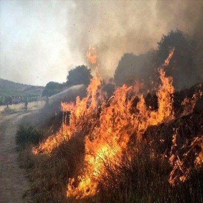 30 کیلومتر آتش‌بُر در مناطق بحرانی منابع طبیعی اراک ایجاد شد