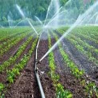 40 درصد اراضی آبی کشور به سیستم‌های نوین آبیاری مجهز شده است