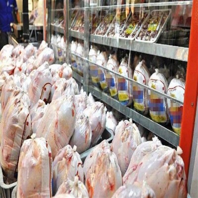 خریداری و ذخیره‌سازی روزانه 25 تُن مرغ مازاد مرغداران همدان