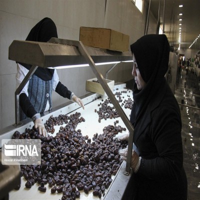 صنایع تبدیلی، پیشران توسعه کشاورزی خوزستان هستند