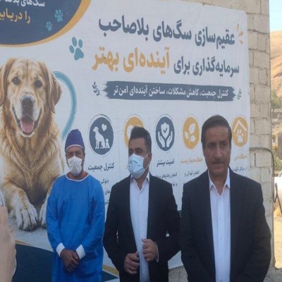 805 سگ در سنندج زنده‌گیری شد؛ لزوم آموزش شهروندان در مواجهه با سگ‌ها