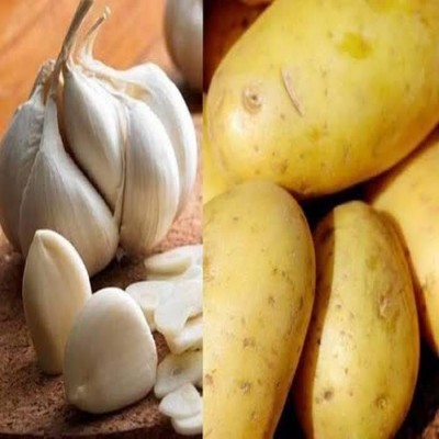 سیر جایگزین سیب‌زمینی؛ نسخه‌ای که یک‌شبه اجرا نمی‌شود