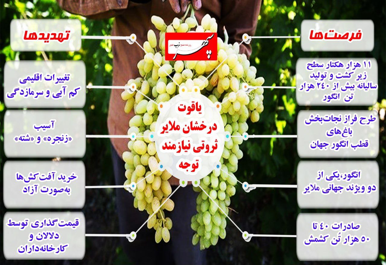 اینفوگرافیک/یاقوت درخشان ملایر ثروتی نیازمند توجه